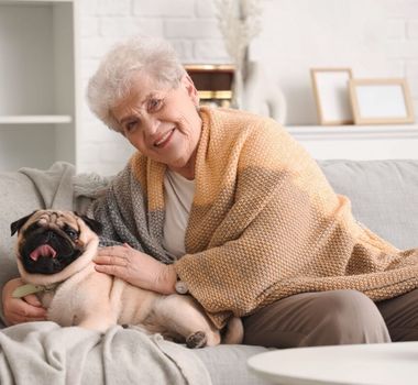 Imagem - 7 raças de cachorro ideais para idosos