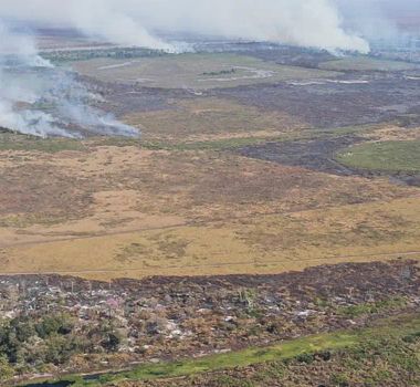 Imagem - Amazônia: alerta de desmatamento cresce e mobiliza governo