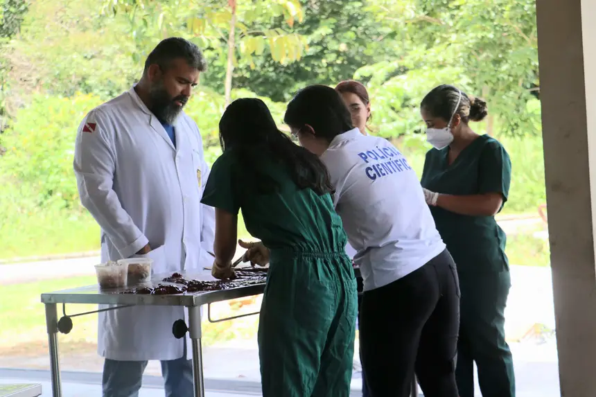 A perícia foi realizada em parceria com o laboratório de patologia da Universidade Federal do Pará, de Castanhal.