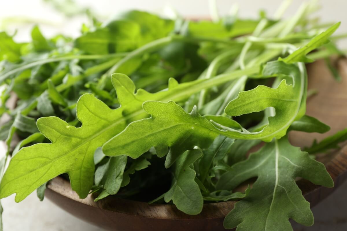 A rúcula é fonte de nutrientes essenciais para a saúde do corpo (Imagem: New África | Shutterstock) 