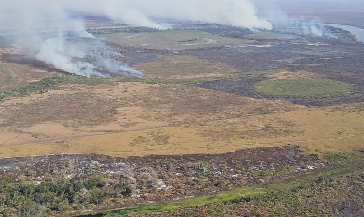 O Instituto Nacional de Pesquisas Espaciais (Inpe) apontou uma tendência de aumento do desmatamento na Amazônia, a partir dos alertas do Sistema de Detecção do Desmatamento em Tempo Real (Deter), disponível na plataforma TerraBrasilis. 