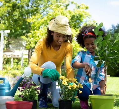 Imagem - Veja hortaliças e flores ideais para cultivar em maio