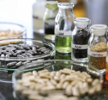 Imagem - Pará destaca Plano de Bioeconomia em evento voltado à cobertura climática