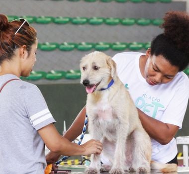 Imagem - Ação Pet da Ufra tem vacinação e consultas veterinárias gratuitas nesta sexta-feira em Belém; saiba mais