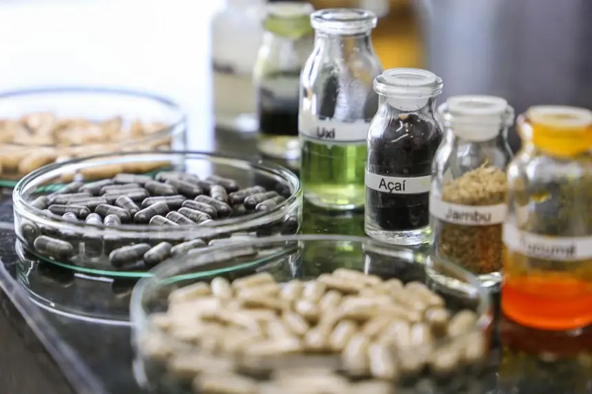 Imagem - Pará destaca Plano de Bioeconomia em evento voltado à cobertura climática