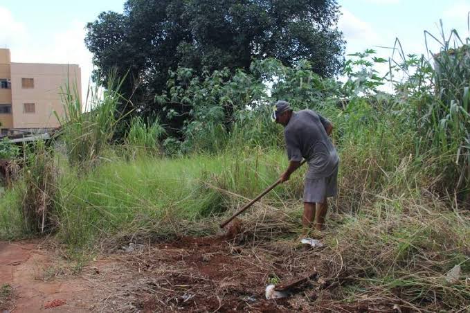 Imagem - Capinar um terreno aumenta quase em 50% a testosterona do que qualquer esporte, diz estudo