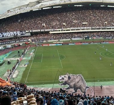 Imagem - Vídeo: torcida do Paysandu provoca o Remo com mucura correndo atrás de um leão