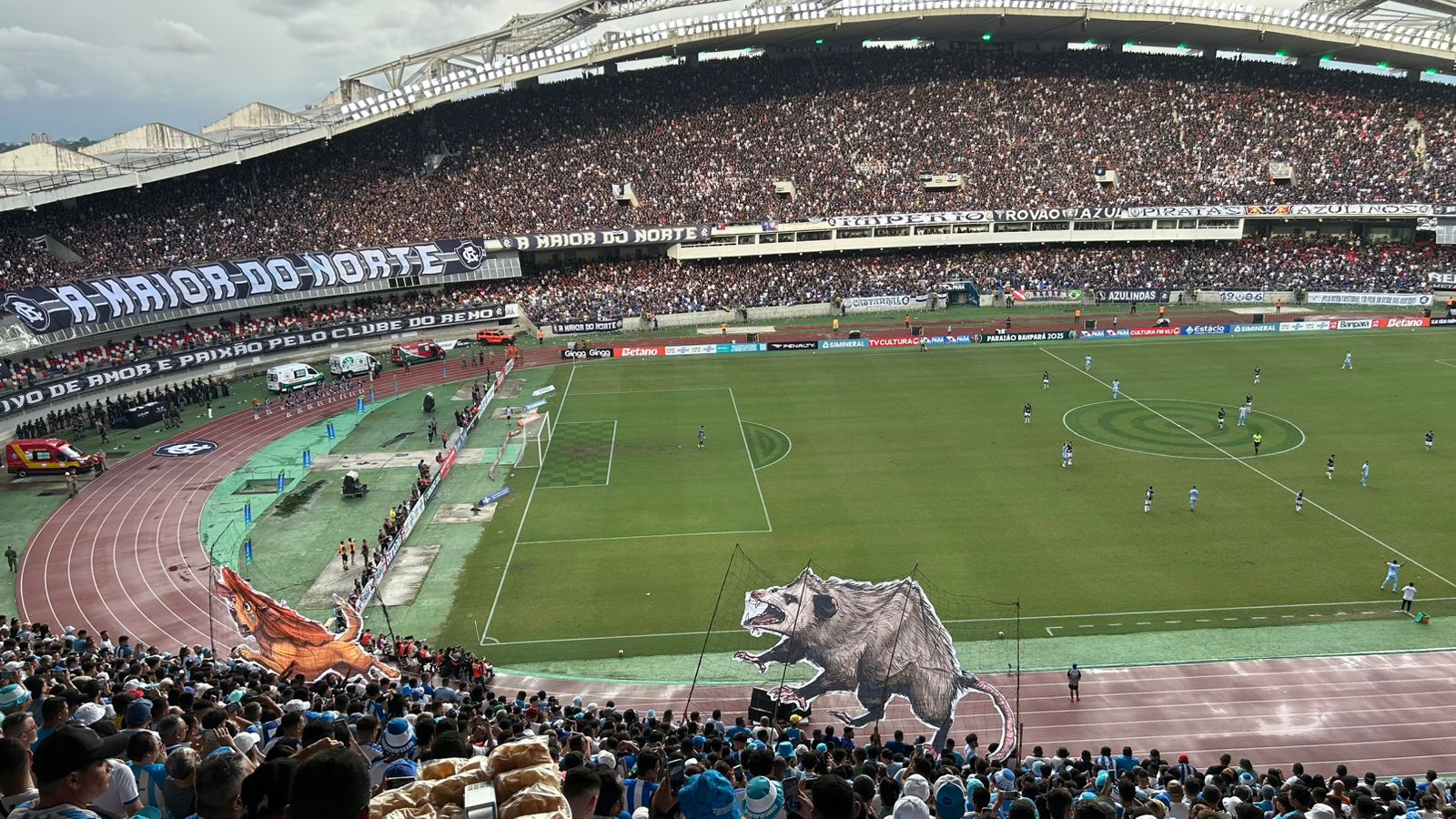 Torcida do Paysandu provoca torcida do Remo com mucura correndo atrás de leão em clássico deste domingo (11) - 