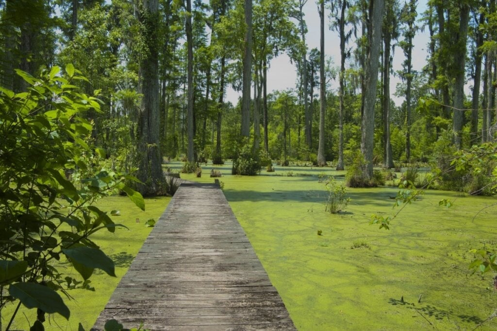 O Cypress Gardens foi cenário do filme &#8220;Diário de uma paixão&#8221; (Imagem: Denton Rumsey | Shutterstock) 