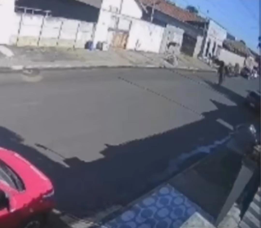 Imagem - Idosa é gravemente ferida após ataque de pit bull; mulher salva a neta de 4 anos