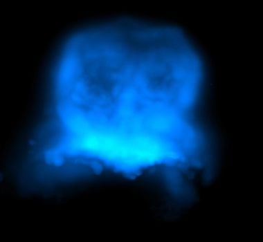 Imagem - Vídeo: cientistas registram pela primeira vez formação do coração