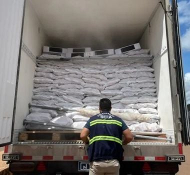 Imagem - Mais de 30 toneladas de pescado com destino a Minas gerais, são apreendidos no Pará