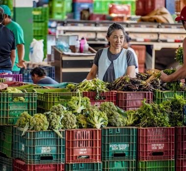 Imagem - Anvisa inicia monitoramento de resíduos de agrotóxicos em alimentos