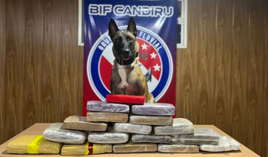 Imagem - Mais de 17kg de entorpecentes vindos de Manaus, foram apreendidos no Pará