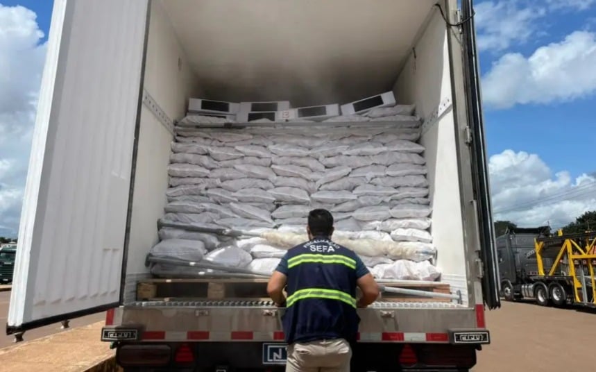 Fiscais da Sefa apreenderam 30.140 quilos de pescado congelado, no Pará.
