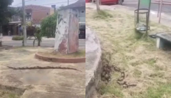Vídeo: moradores encontram cobra imensa em praça no bairro Curió-Utinga, em Belém