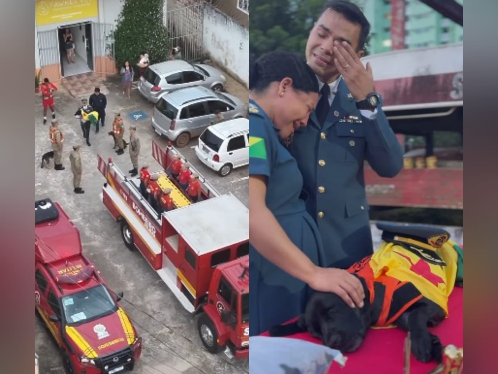 Imagem - Corpo de Bombeiros homenageia, com cortejo, cadela de resgate morta no Acre