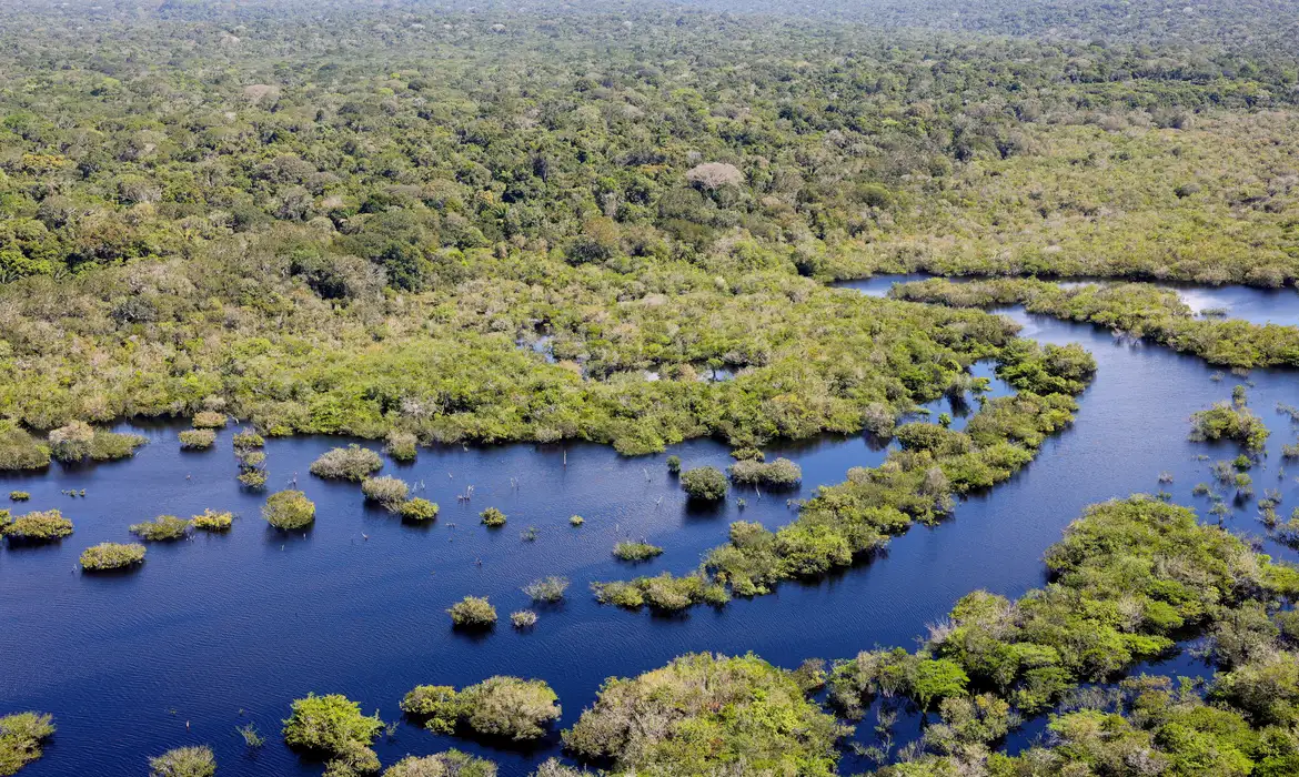 Quase todos os biomas registraram redução do desmatamento em 2024 - 