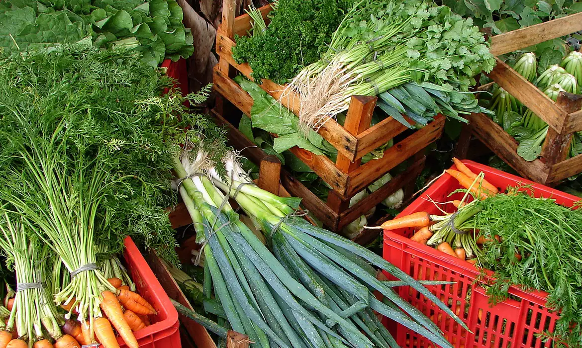 Renda de 70% da população é insuficiente para ter alimentação saudável