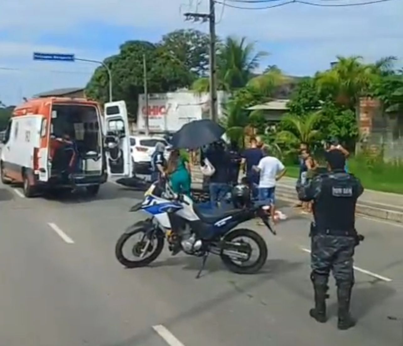 Reprodução
