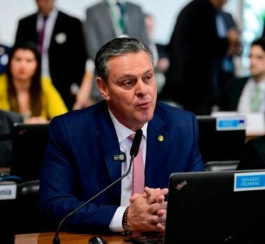Imagem - Gripe aviária faz China suspender compra de carne de frango do Brasil
