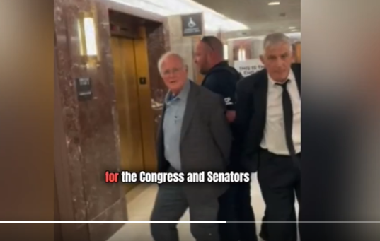 Imagem - Fundador da Ben e Jerry's é preso no senado americano após protestar contra ação em Gaza