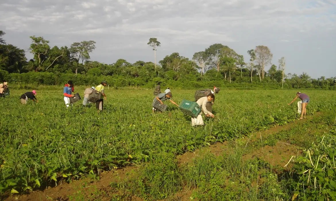 Imagem - Casa Agro: workshop capacita produtores rurais para exportação