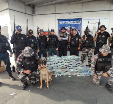 Imagem - Cão farejador ajuda a apreender 130 kg de supermaconha no Baixo Amazonas