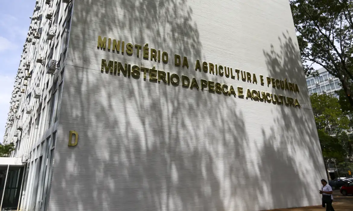Imagem - Gripe Aviária: Agricultura diz que Plano de Contingência está sendo realizado 'com eficiência'