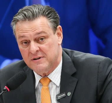 Imagem - Gripe aviária não deve impactar preço da carne de frango, diz ministro