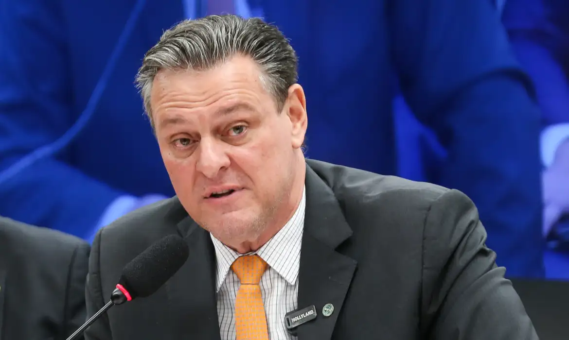 Imagem - Gripe aviária não deve impactar preço da carne de frango, diz ministro