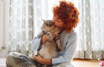 5 cuidados para quem tem ou pretende adotar um gato
