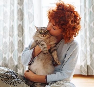 Imagem - 5 cuidados para quem tem ou pretende adotar um gato