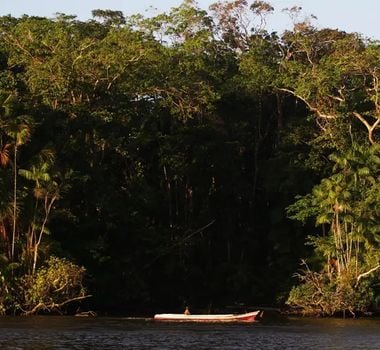 Imagem - Pará registra redução de quase 30% das emissões de gases poluentes nos últimos 20 anos