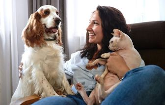12 dicas para o seu animal ter uma vida saudável e feliz