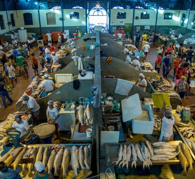 Imagem - Preço do pescado sobe nos mercados municipais de Belém de janeiro a abril de 2025