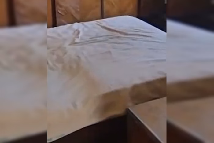 Casal de irmãos é preso por esconder cadáver do pai idoso em casa por 6 meses.