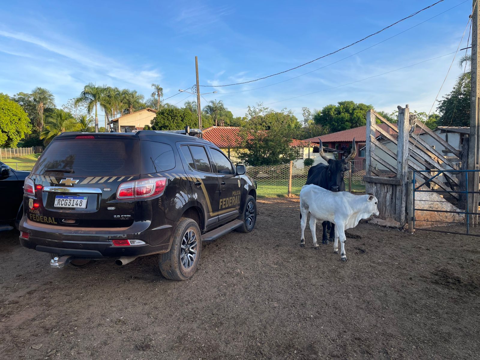Imagem - PF deflagra operação contra fraudes fundiárias no Pará
