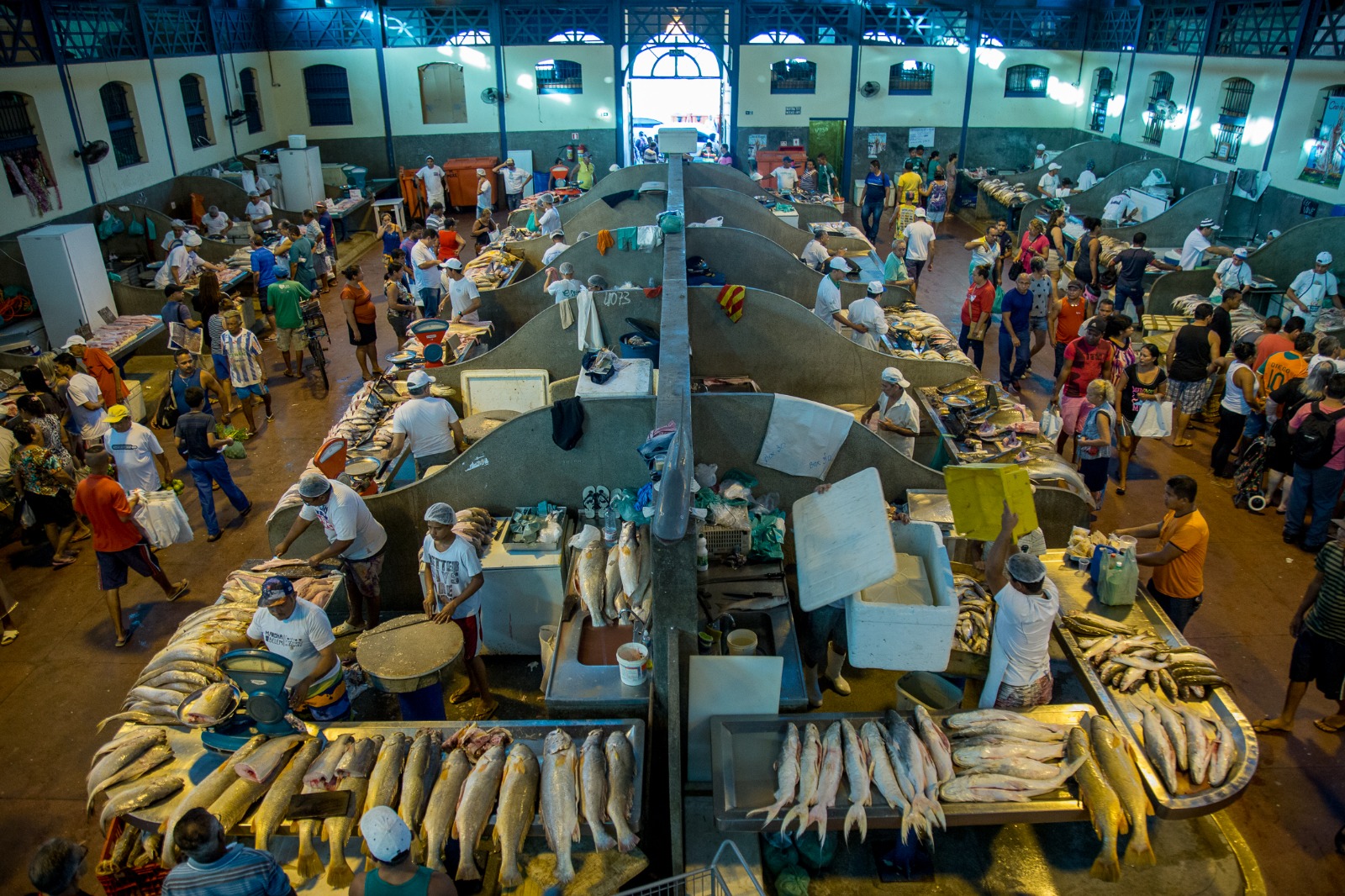 Imagem - Preço do pescado sobe nos mercados municipais de Belém de janeiro a abril de 2025