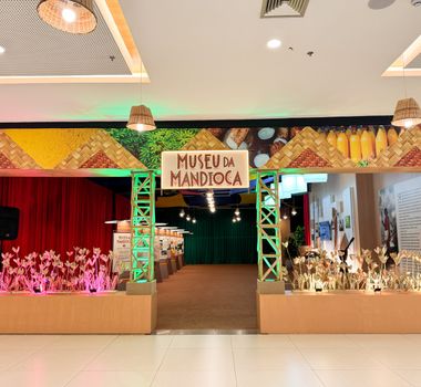 Imagem - Alimento essencial para a culinária e a cultura paraense, mandioca é a estrela de exposição