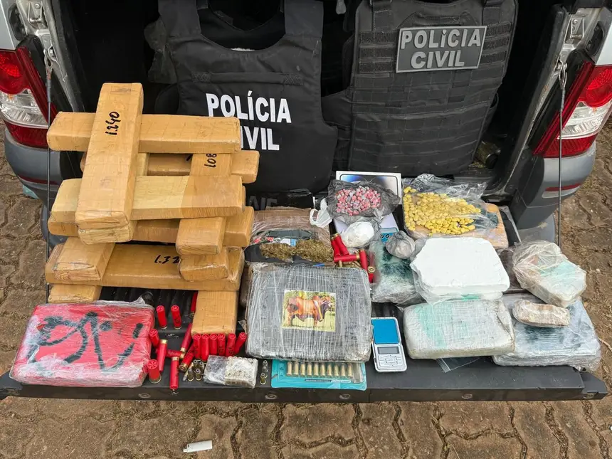 (Até o momento, foram efetuadas 210 prisões, sendo 176 em cumprimento a mandados de prisão e 34 prisões em flagrante.)