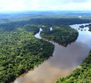 Imagem - Marina Silva apoia estados na implementação da Redução de Emissões por Desmatamento e Degradação florestal