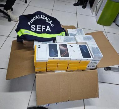 Imagem - Mais de R$ 1,2 milhão em produtos irregulares são apreendidos pela Sefa no Pará