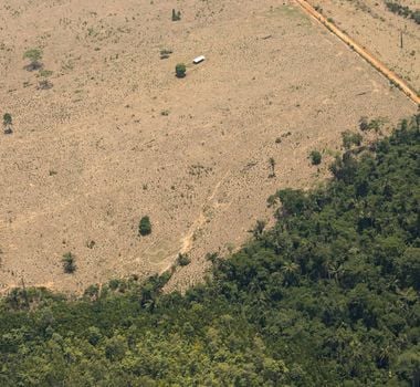 Imagem - Com críticas de ambientalistas, lei do licenciamento ambiental deve parar no STF