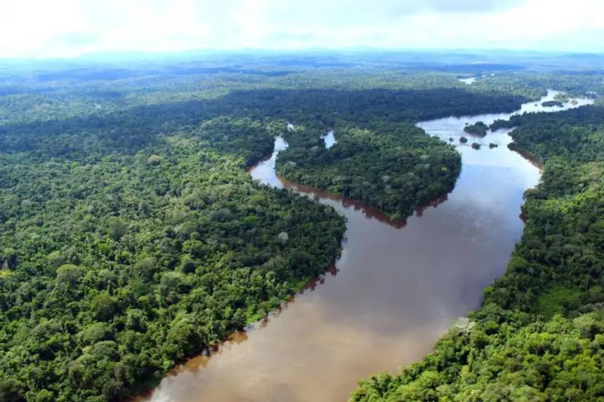 A sigla REDD+ significa Redução de Emissões por Desmatamento e Degradação Florestal.