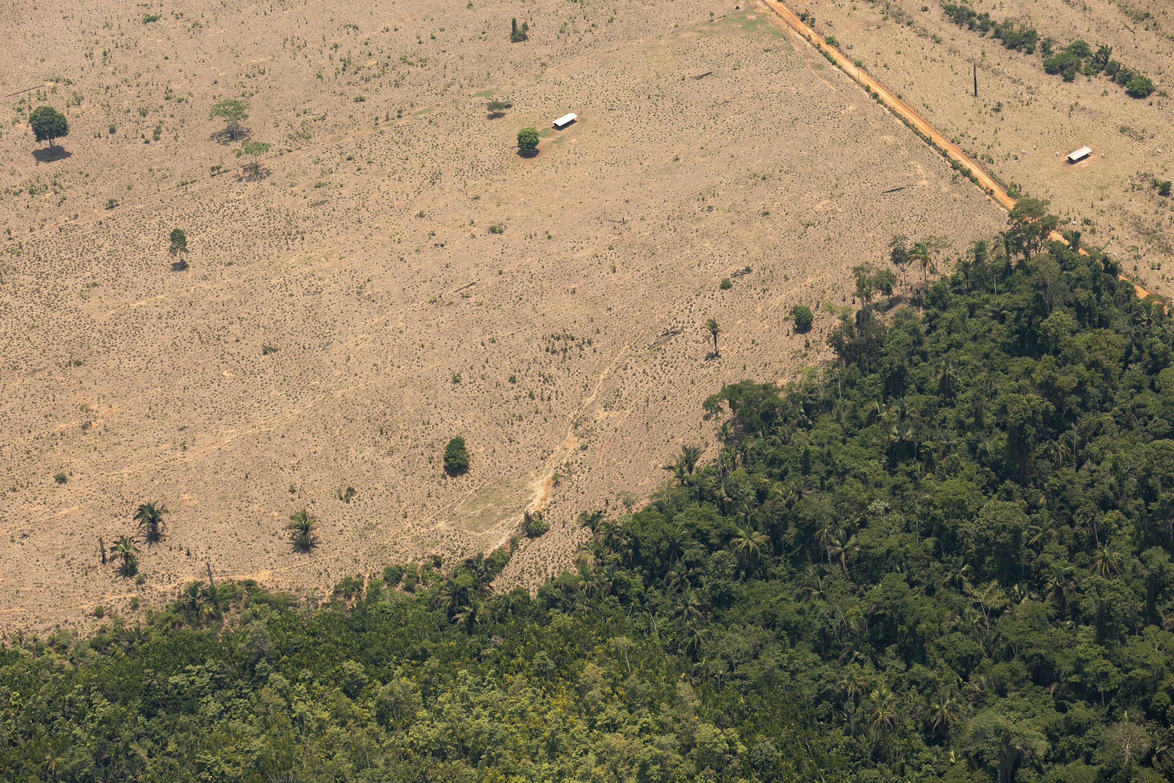 Imagem - Com críticas de ambientalistas, lei do licenciamento ambiental deve parar no STF