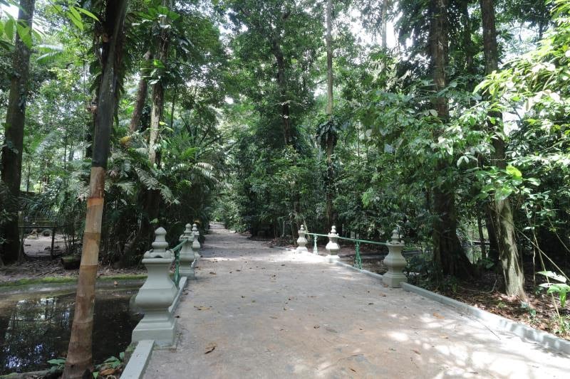 Bosque Rodrigues Alves, uma reserva natural localizada na área urbana de Belém