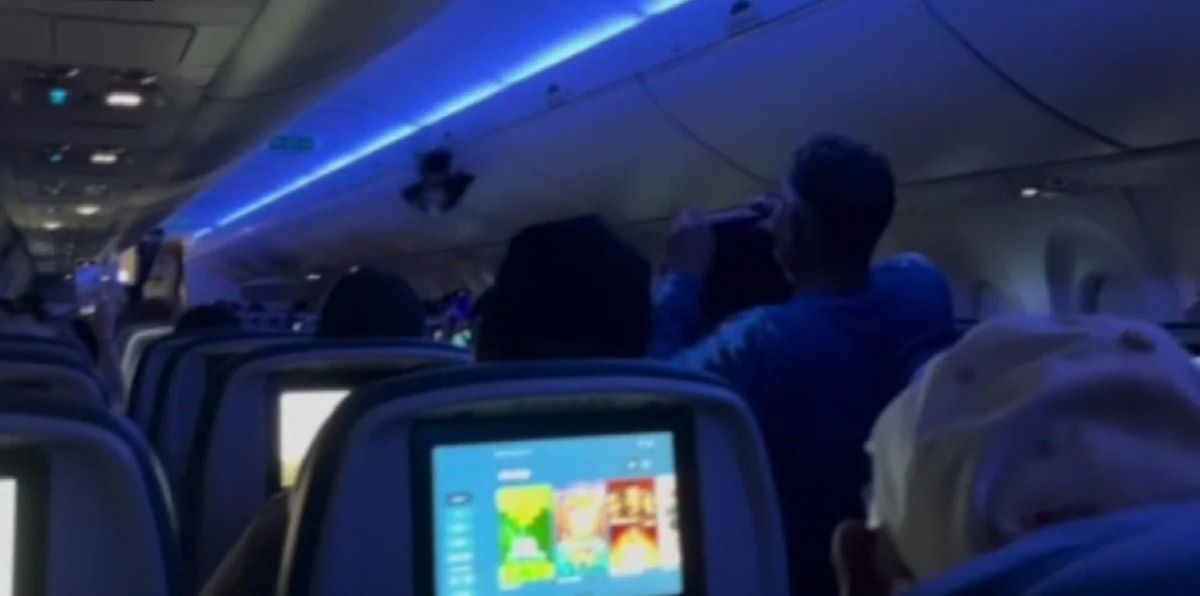 Imagem - Pombos invadem aeronave e causam atraso em voo nos EUA; assista