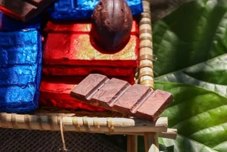Cacau paraense com sabor de ciência será destaque no Chocolat Amazônia 2025