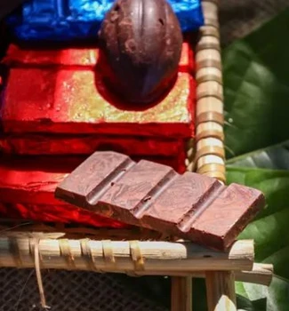 Imagem - Cacau paraense com sabor de ciência será destaque no Chocolat Amazônia 2025